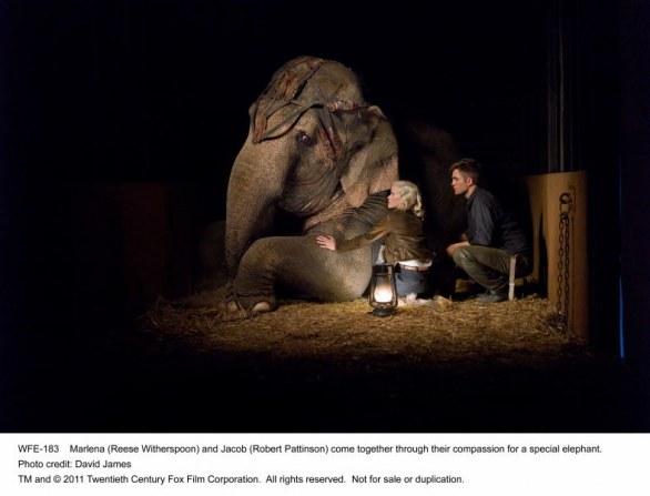 Water for Elephants 1