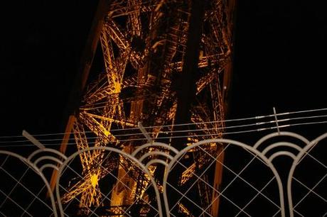 Mon Voyage a Paris (Paris La Nuit: Look y Cena en la Torre Eiffel)