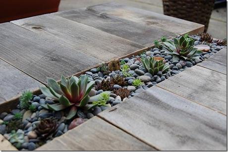 5389314872_7662b7c46d