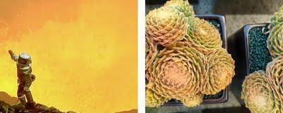 Un café con Flowers by Bornay