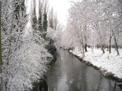 Concursante Aniversario: Concursante 9 (Sergio)