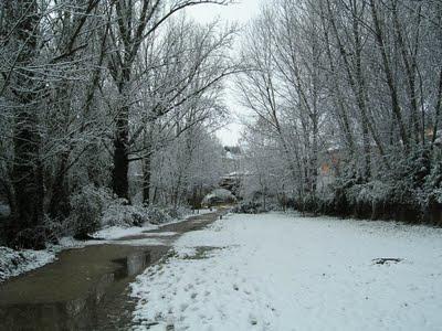 Concursante Aniversario: Concursante 9 (Sergio)