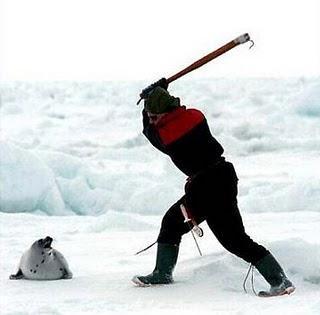 Matanza de focas, Canada responde