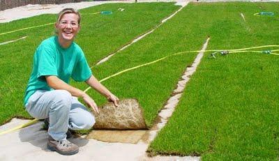 Implantación del Cesped