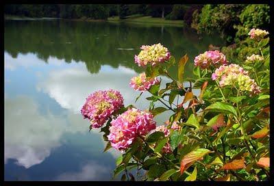 Un paseo entre flores y libros