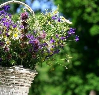 Un paseo entre flores y libros