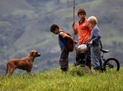 Colores Montaña, Colombia 2010