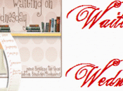 Waiting Wednesday