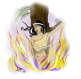 El Ceibo /Seibo-Erytrina crista galli