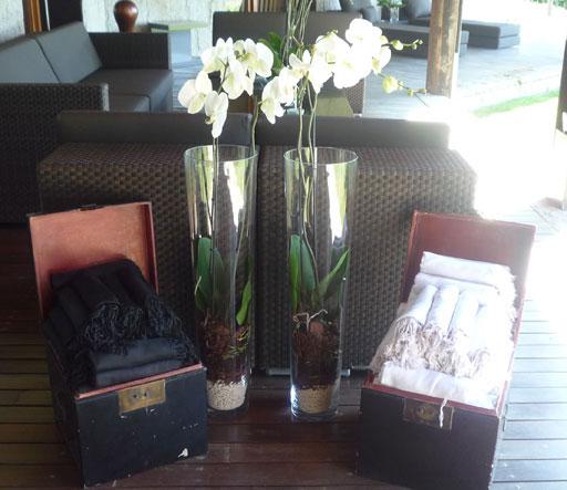 Regala A-cero Floral en el día de la madre