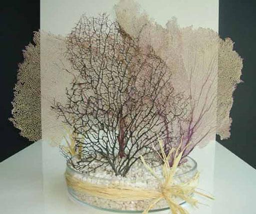 Regala A-cero Floral en el día de la madre