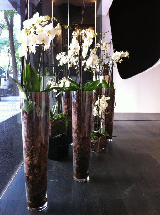 Regala A-cero Floral en el día de la madre