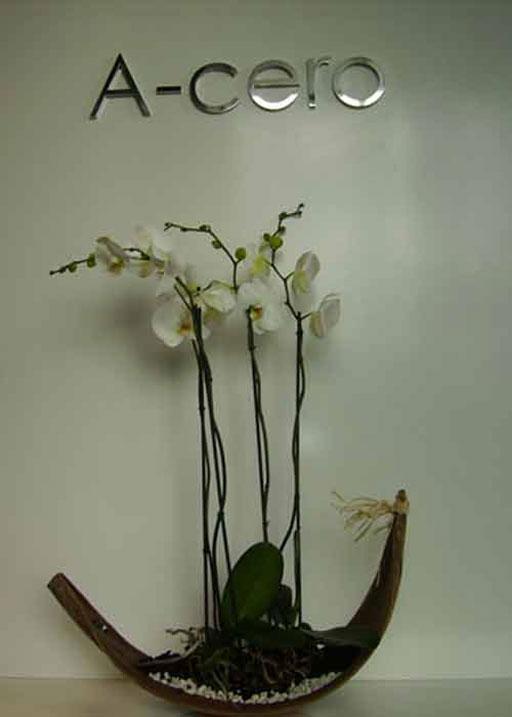 Regala A-cero Floral en el día de la madre