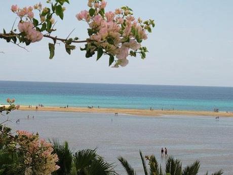 DE NUEVO FUERTEVENTURA Vistas desde el Melia Gorriones