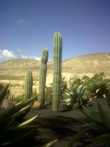 Jardín del Gorriones