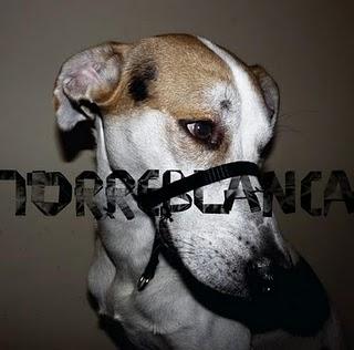 TORREBLANCA / DEFENSA