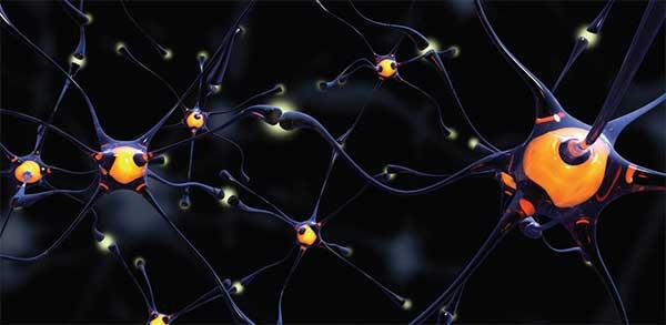 Depresión en Demencia Alzheimer