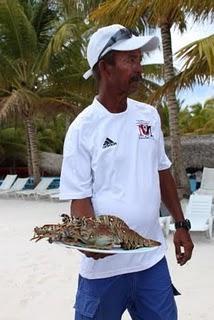 Recién llegadita del paraíso: Punta Cana