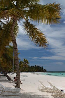 Recién llegadita del paraíso: Punta Cana