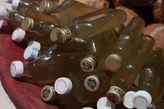 Recién llegadita del paraíso: Punta Cana