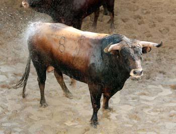 Garcigrandes para mañana