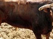 Garcigrandes para mañana