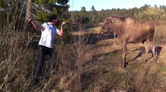 Si te ataca un alce debes sacar al espartano que llevas dentro