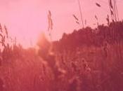 Summer Heart Broken Hearts (2011)