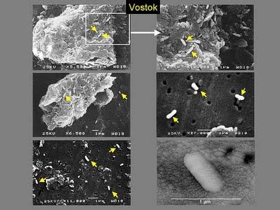 La anomalía magnética del lago Vostok