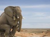 acertijo Lunes Solución!