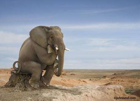 El acertijo de Lunes – Solución! El acertijo de Lunes – Solución!