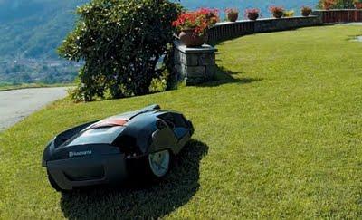 Mantenimiento del Césped - Corte, Altura y riego