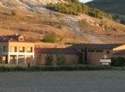 “Vinos verdaderos” Fenavin