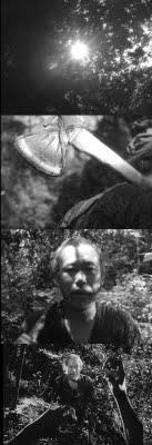 Rashomon & Barba Roja