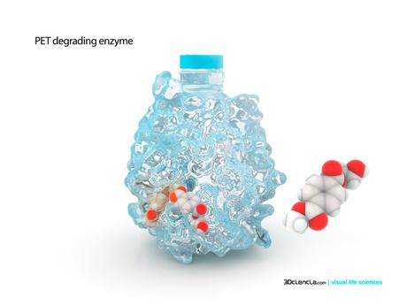 Petasa, la enzima que peta el plástico de la botellas de agua