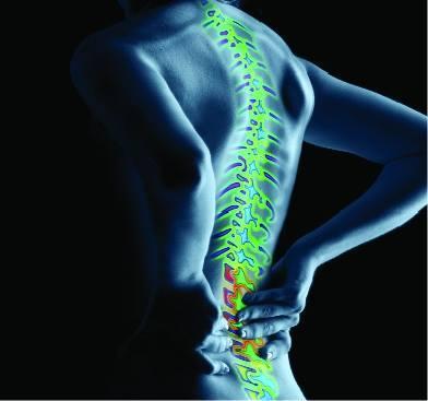 Artricenter: Lo que debes saber de la osteoartrosis de espalda.