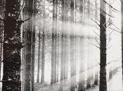 serena nostalgia rufino félix morillónmoisés cayeta...