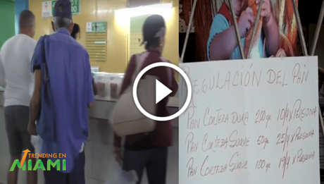 Cubanos opinan ante la crisis de alimentos: “Tendremos que comer hierba, como los caballos” Cubanos opinan ante la crisis de alimentos: “Tendremos que comer hierba, como los caballos”