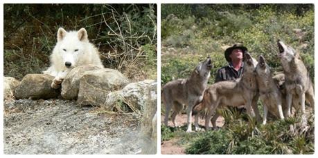 Qué ver en Antequera