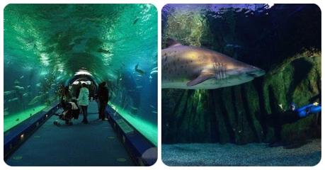 Qué ver en Roquetas de Mar