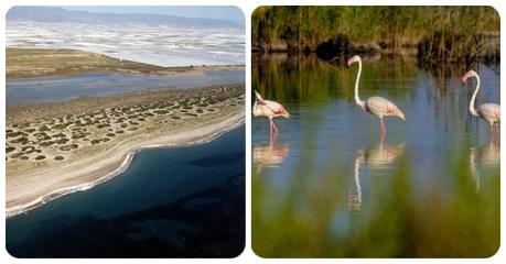 Qué ver en Roquetas de Mar