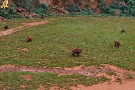 Norte de España con niños en 3 días: qué ver y qué hacer