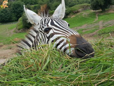 Norte de España con niños en 3 días: qué ver y qué hacer
