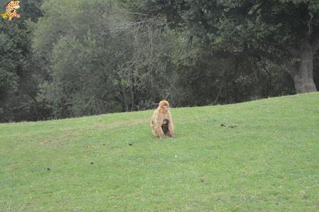 Norte de España con niños en 3 días: qué ver y qué hacer
