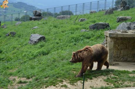Norte de España con niños en 3 días: qué ver y qué hacer