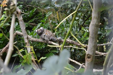 Norte de España con niños en 3 días: qué ver y qué hacer