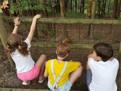 Norte de España con niños en 3 días: qué ver y qué hacer