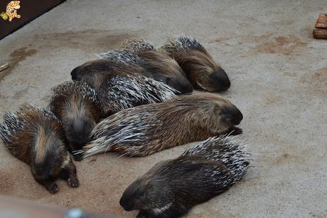 Norte de España con niños en 3 días: qué ver y qué hacer
