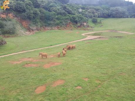 Norte de España con niños en 3 días: qué ver y qué hacer