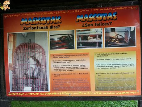 Norte de España con niños en 3 días: qué ver y qué hacer